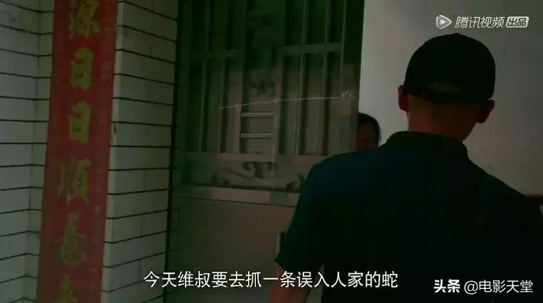 购买毒宠成瘾，甚至为此险些丧命，这是什么奇葩欲望？