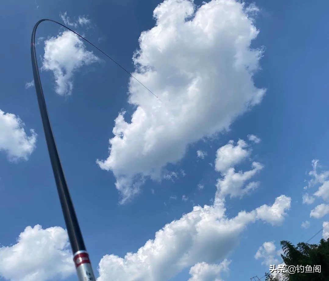 盘点不出名但质量好的鱼竿,2019年销量最好的鱼竿排行