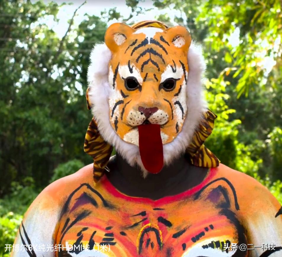 有hdmi接口就可以用hdmi2.0的线吗,hdmi线的质量对画质有什么影响