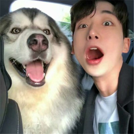 早起高情商说早安,给男生发早安的高情商句子