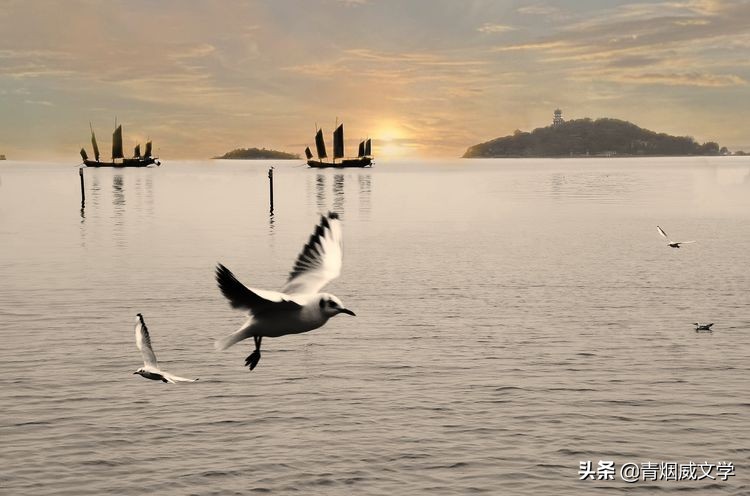 图片大小用手机如何调整,手机拍摄图片大小压缩