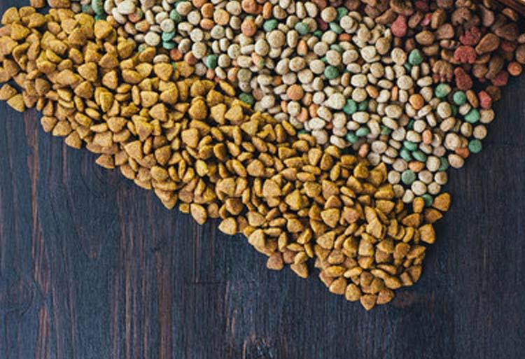 狗粮哪个牌子质量好性价比高,国产狗粮哪种便宜又性价比高