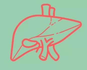 大三阳和乙肝患者,大三阳比小三阳严重吗