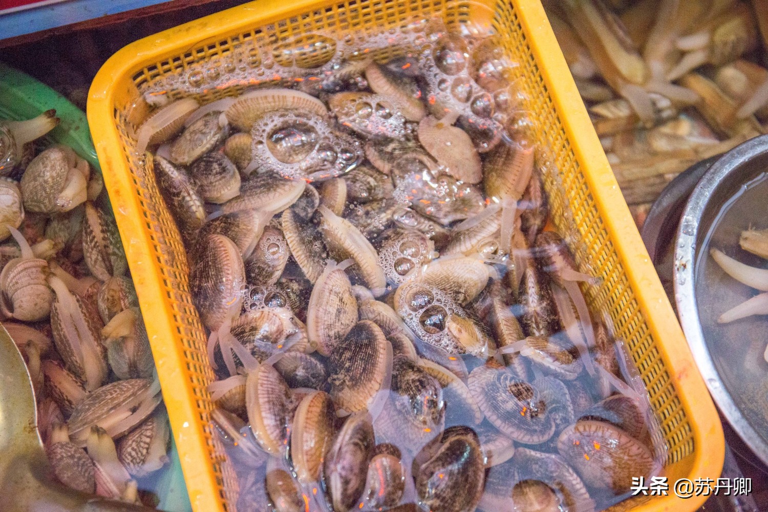 厦门海鲜1000块13道菜,厦门海鲜1599