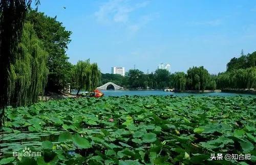 安徽合肥网红打卡地点有哪些,合肥抖音网红打卡景点