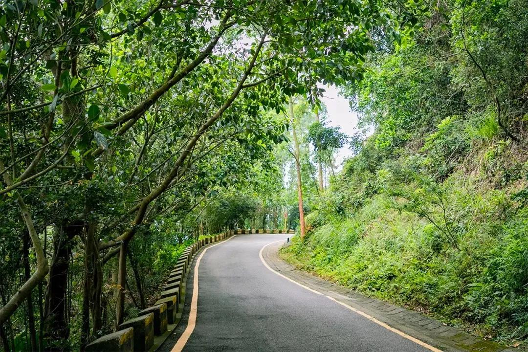 深圳值得打卡的建筑物,深圳最值得打卡的山