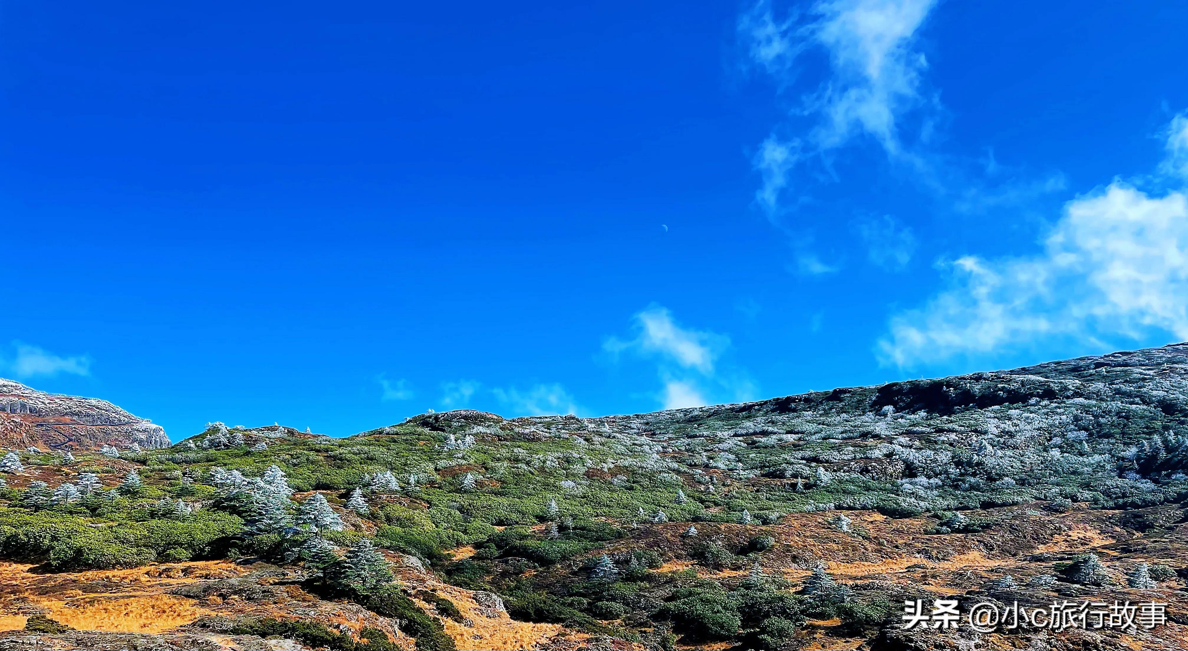 昆明轿子雪山景点春节开放吗,昆明附近旅游景点推荐轿子雪山