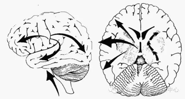 脱髓鞘样改变的mri表现,髓鞘形成稍延迟区