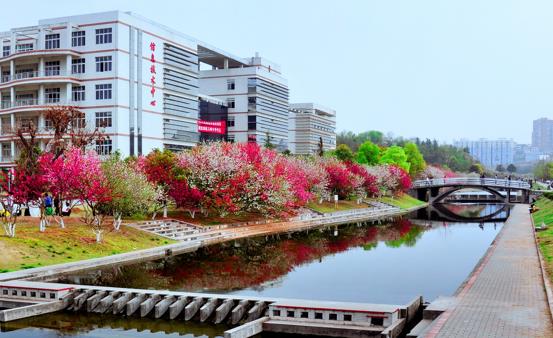 三峡大学2019招生计划,三峡大学2020各专业录取分数线