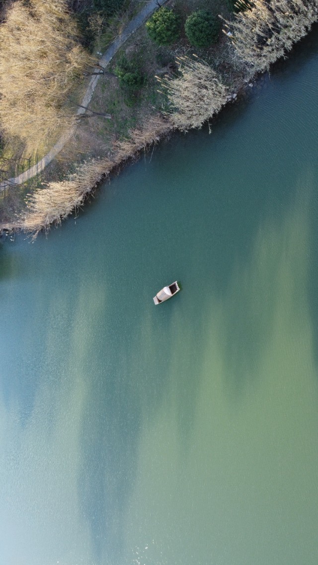 南京紫金山庄酒店,南京紫金山庄