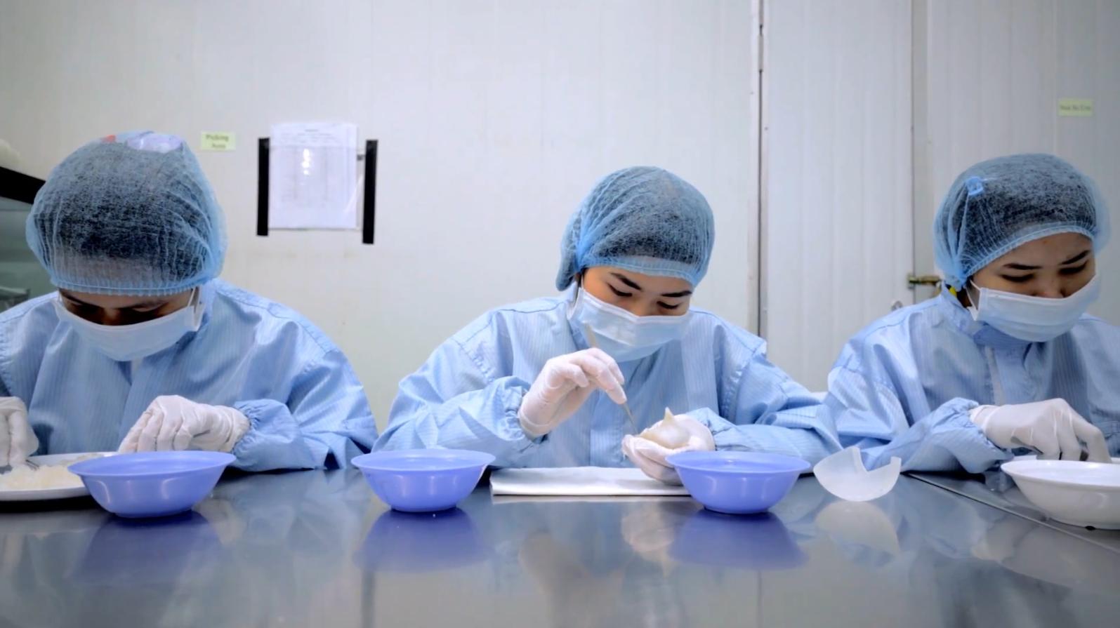 燕窝一千多怎么样,燕窝怎么加工出来的