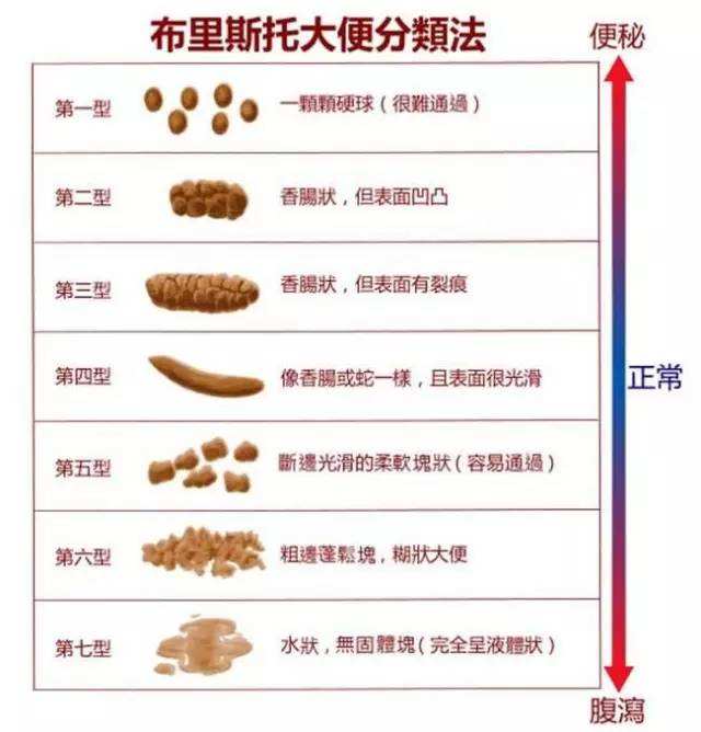 十人九痔疮是真实的吗,怎么知道自己是痔疮还是肠癌