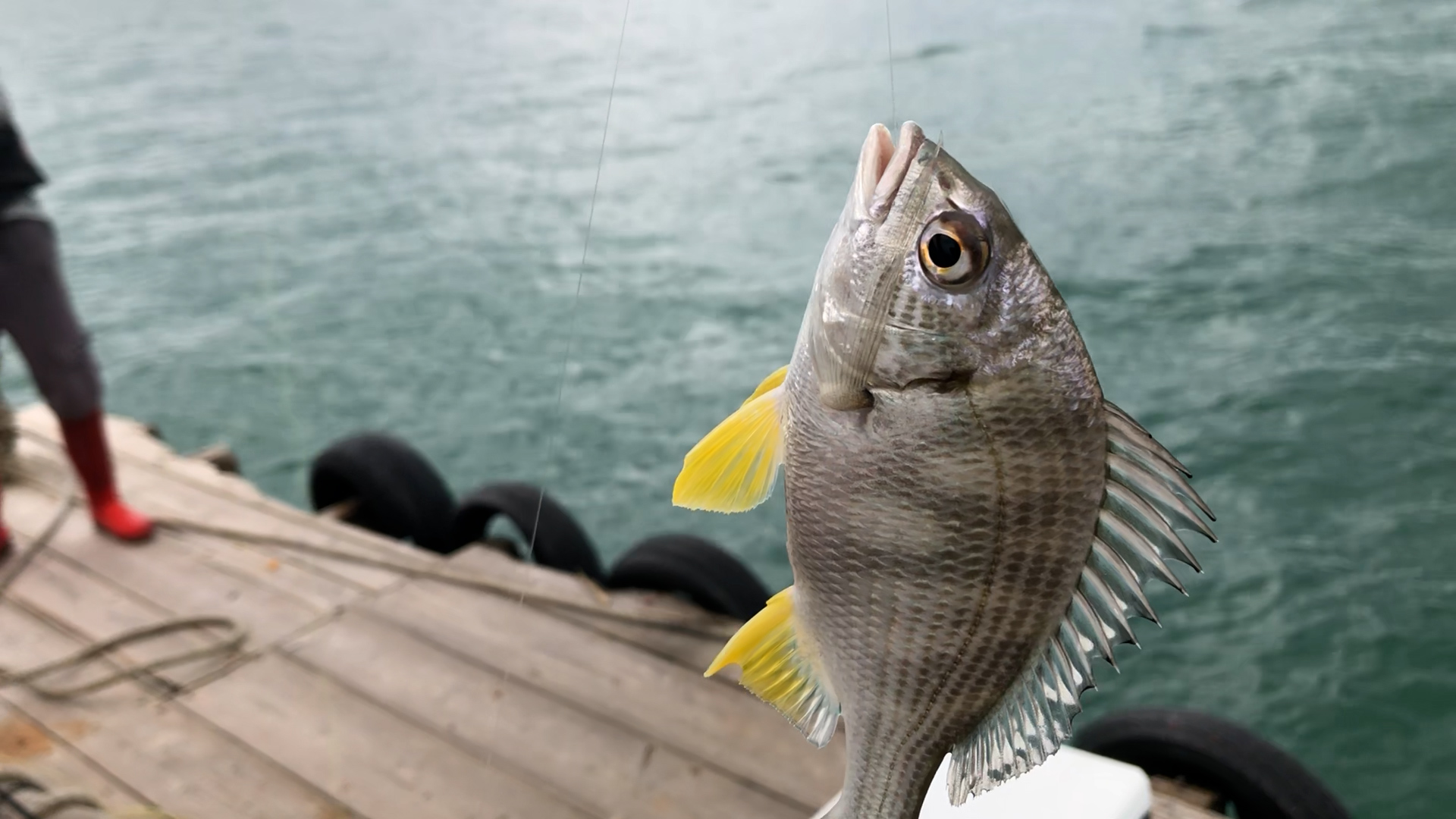 一个小伙钓鱼一年赚几十万,500块钱本钱钓鱼一个月能赚多少钱