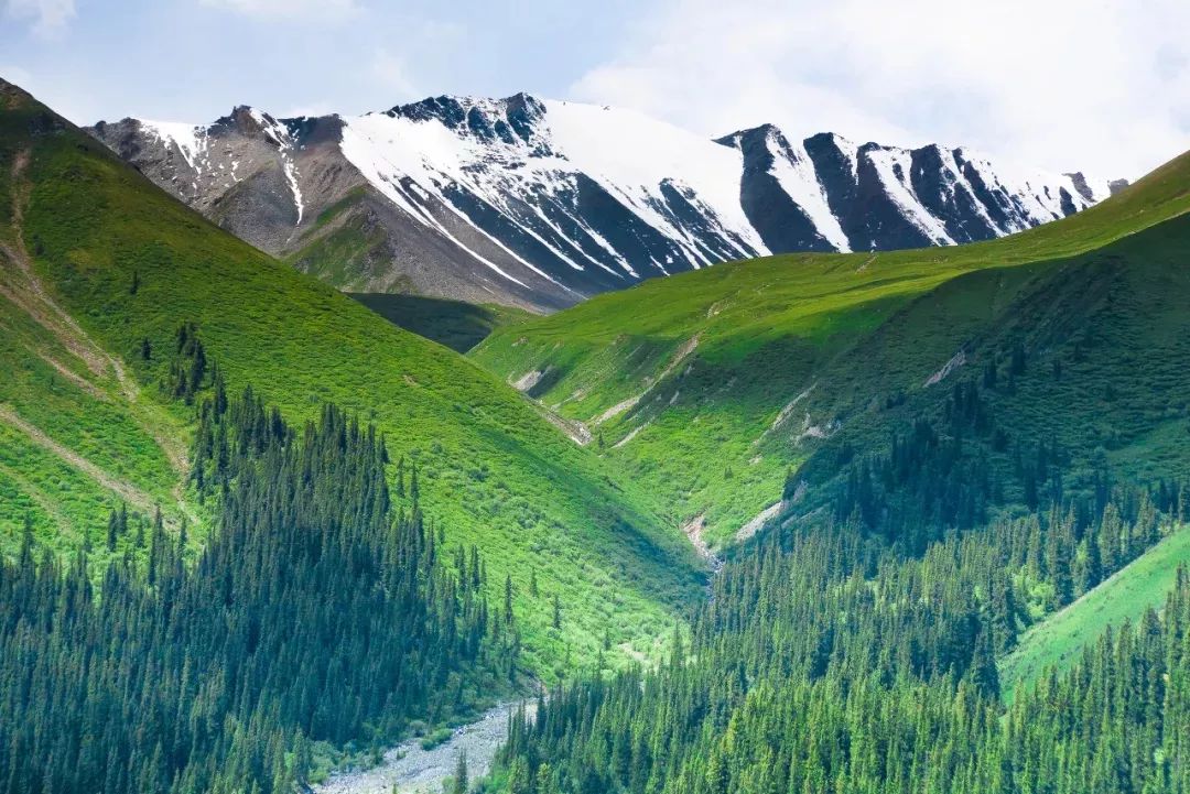 六月的北疆哪些地方值得去,六月的北疆解说