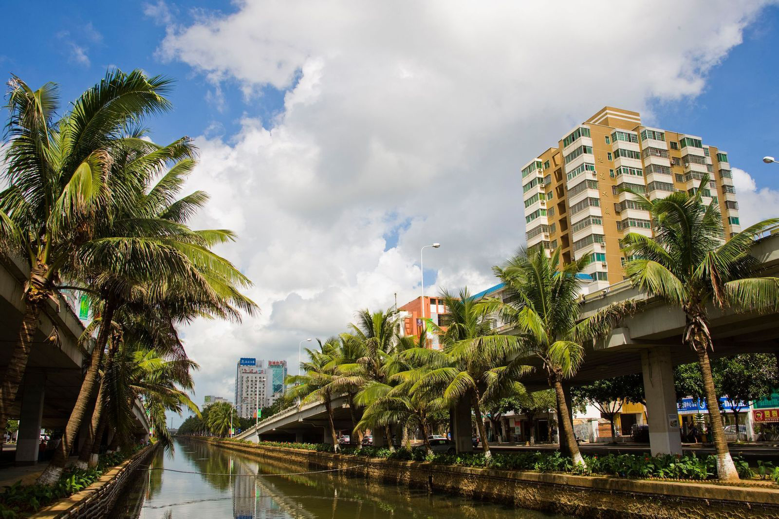 海南自驾租车推荐车型最新,海南517驿站租车价格表