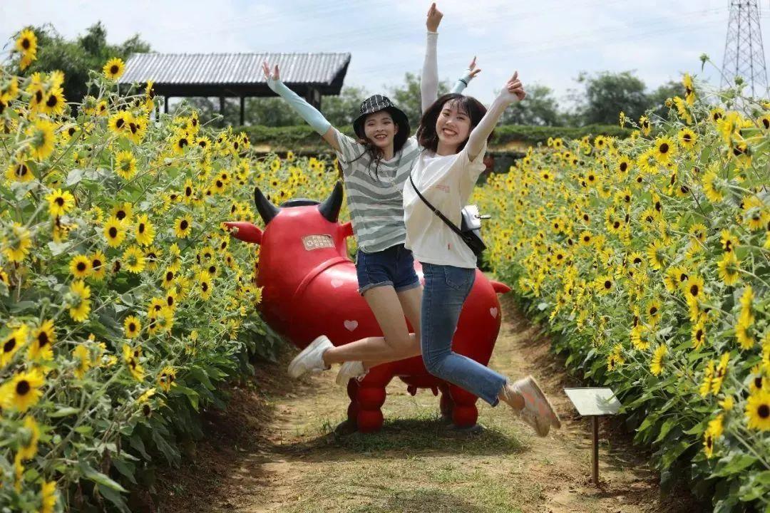 水上乐园超级大喇叭体验,挑战十大世界上最大的水上乐园