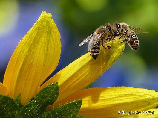 小米手机拍照不行,小米手机如何拍出单反效果