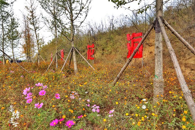 河北最低调的古村,河北这个城市咋样