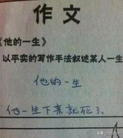 鸭类鸭类,鸭类品种大全