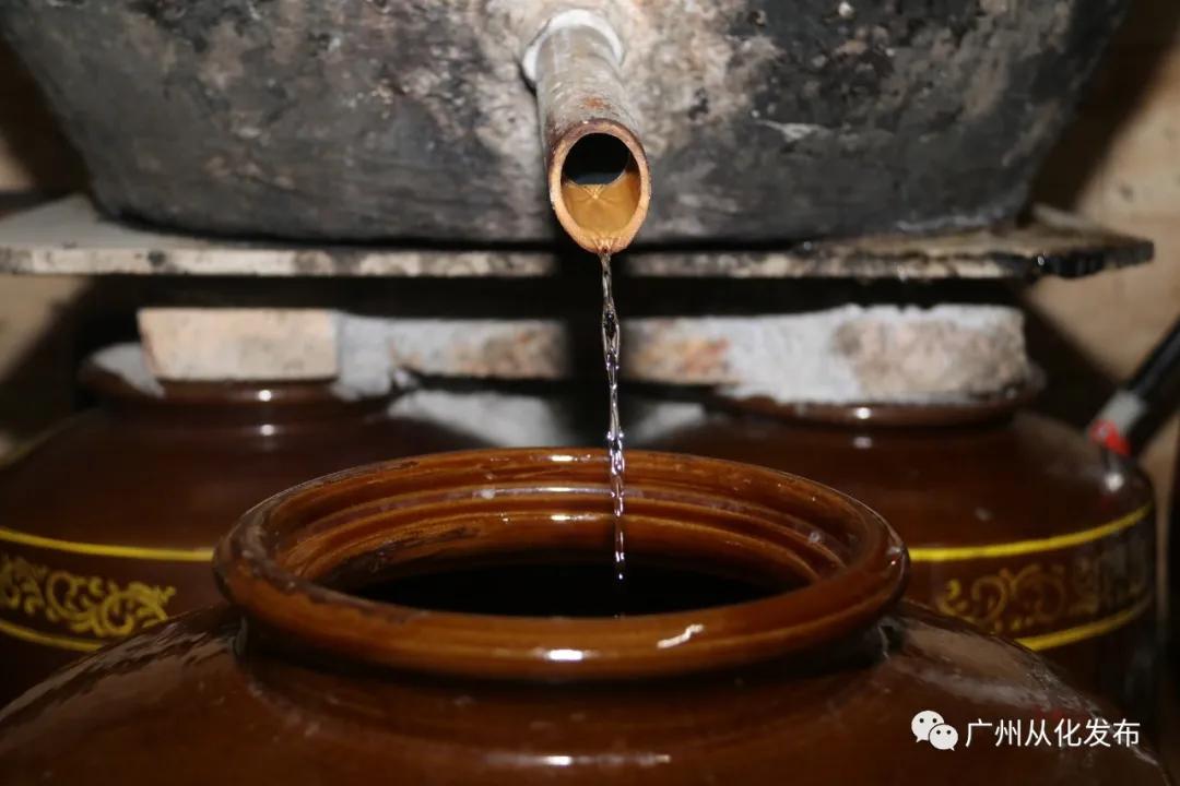 从化莲麻头酒十里飘香，昔日贫困村在绿水青山间迸发振兴力量