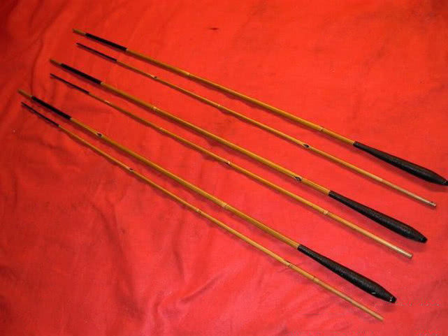 为什么说并继竿贵,为什么并继竿那么贵