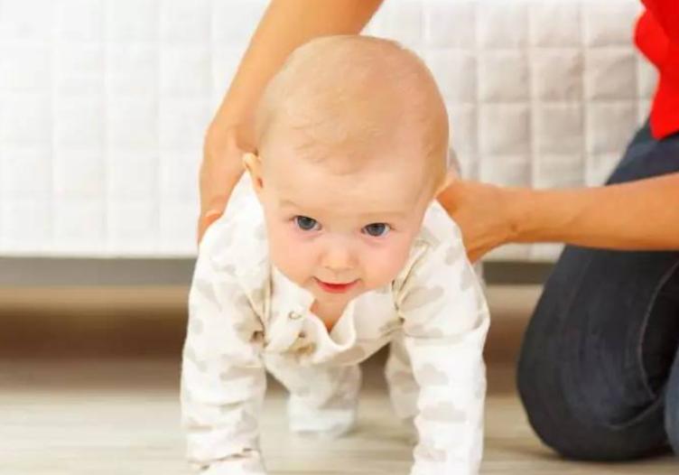 宝宝会爬是先往前还是往后,小婴儿几个月会走路
