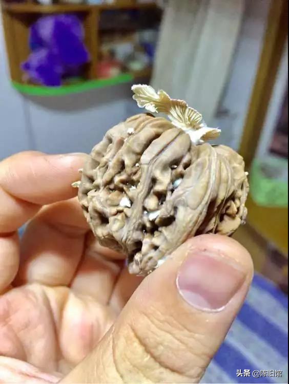 就这天气，还让不让人玩手串