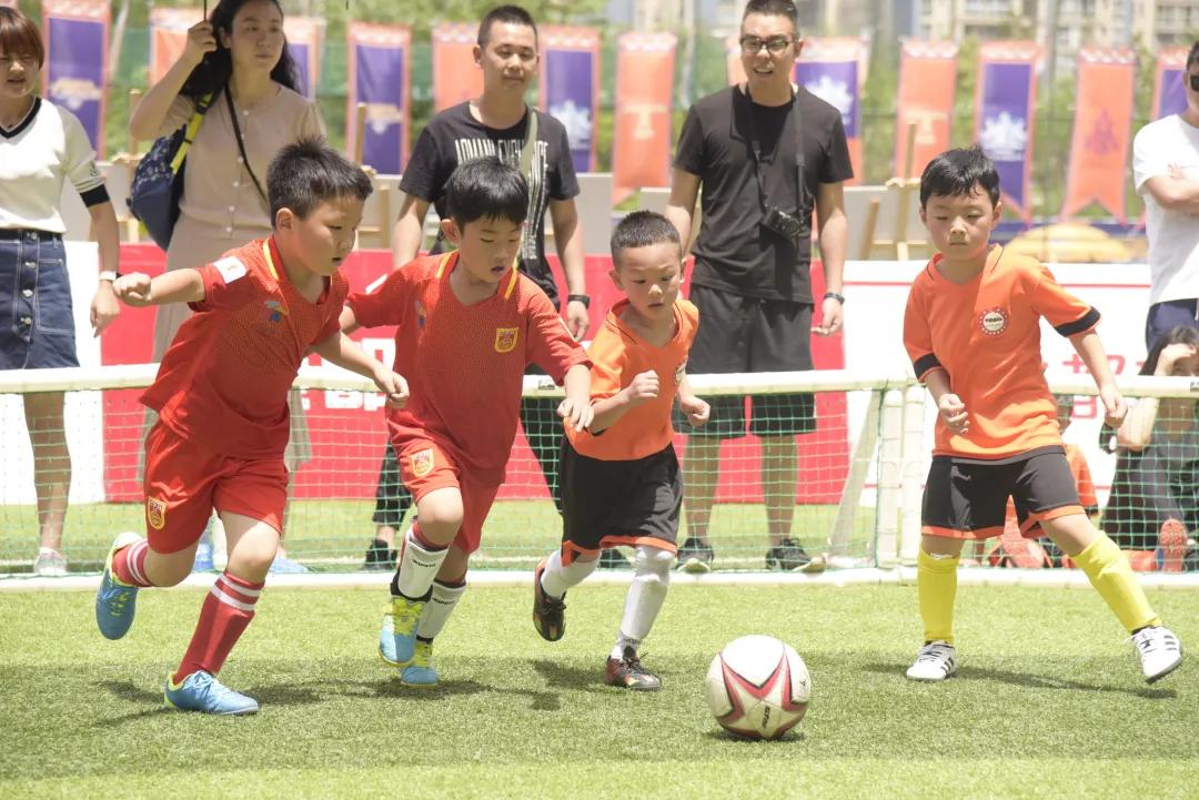 喜报幼儿园被评为省级一类园,获省优质幼儿园喜报