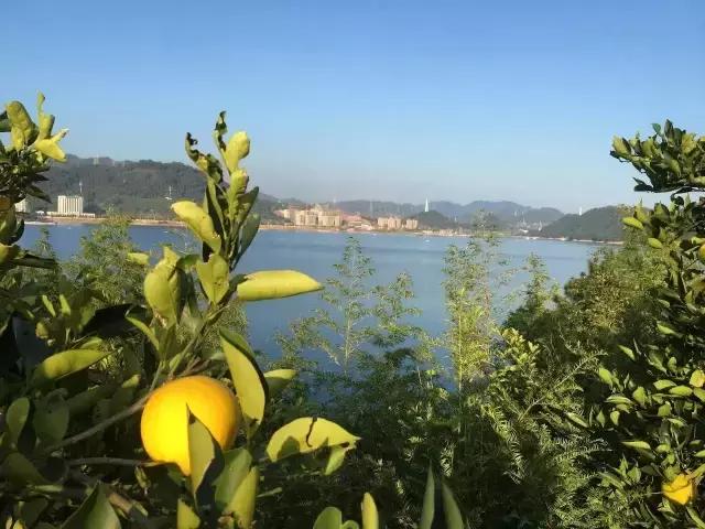 40岁大叔钓鱼,40岁大叔买下一座岛