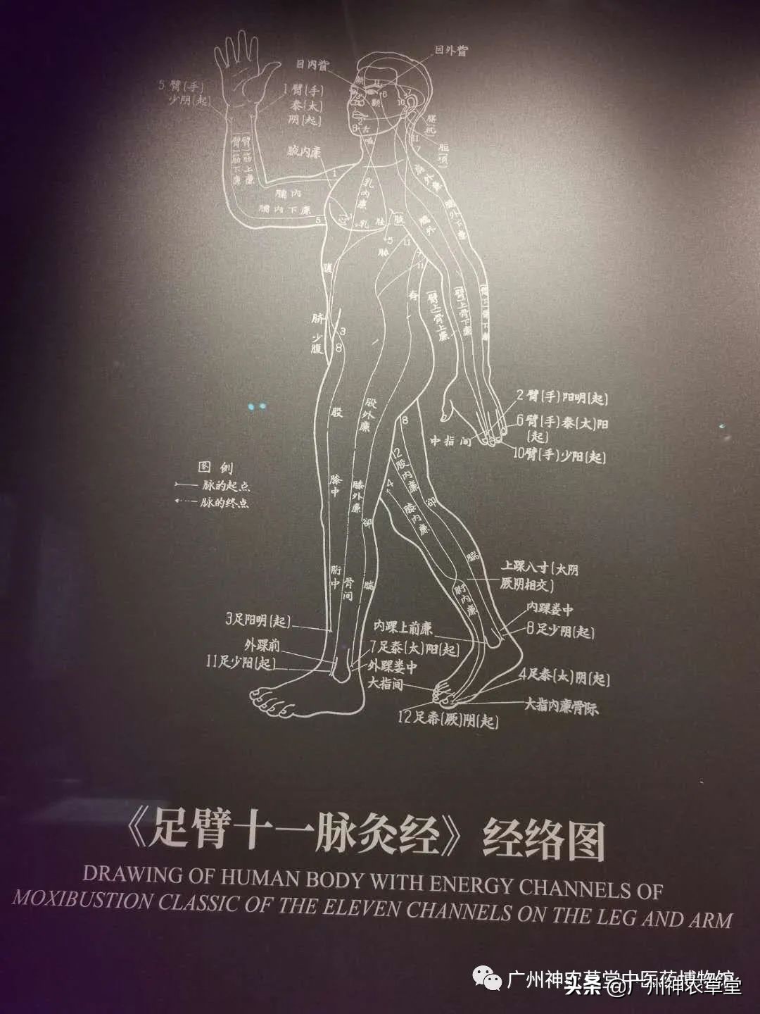 艸堂｜传说中可以挂太阳的树，草堂有