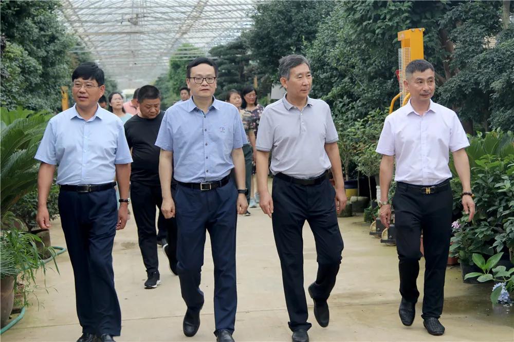 宿迁市沭阳县沭阳国际花木城,沭阳国际花木城布局