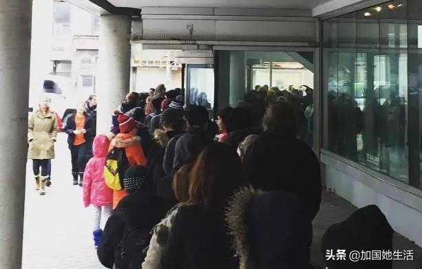 多伦多图书馆清仓特卖啦!1万册图书每本$0.5起(华人淘书指南)