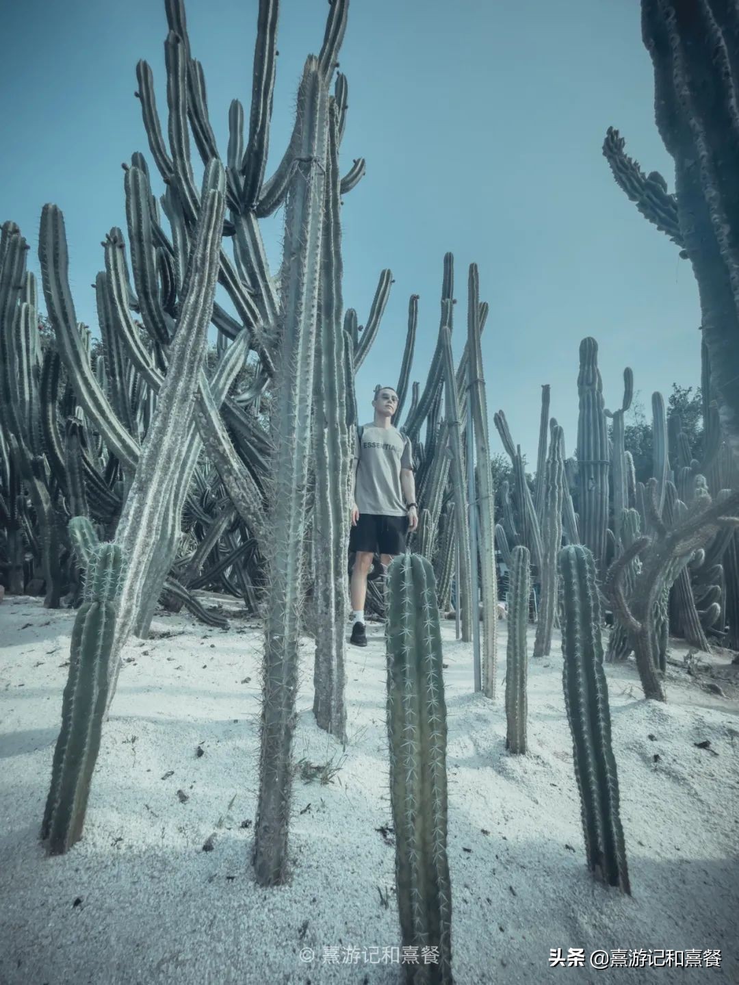 去厦门必须体验的六件事,送给第一次去厦门的五点建议