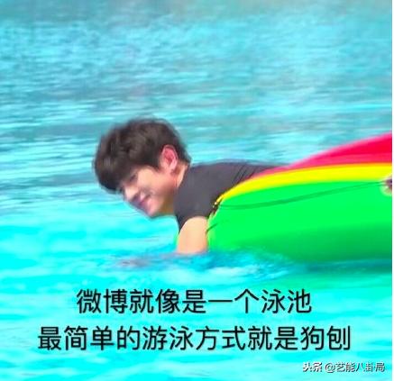 林更新表情包哈士奇,林更新张若昀狗子表情包主人