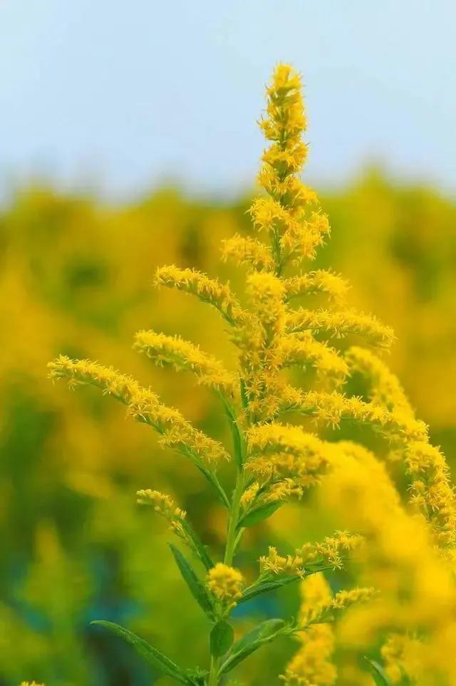 每天收到陌生人转账自己能花吗,不要轻易向陌生人转账后面是什么