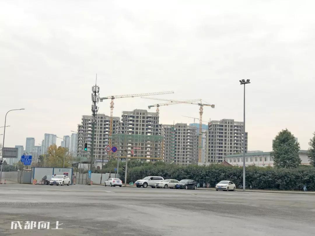 成都2024年火爆项目,巨变前夜智能网联汽车