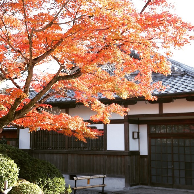 日本京都枫叶季旅游攻略,日本关西赏枫旅游攻略