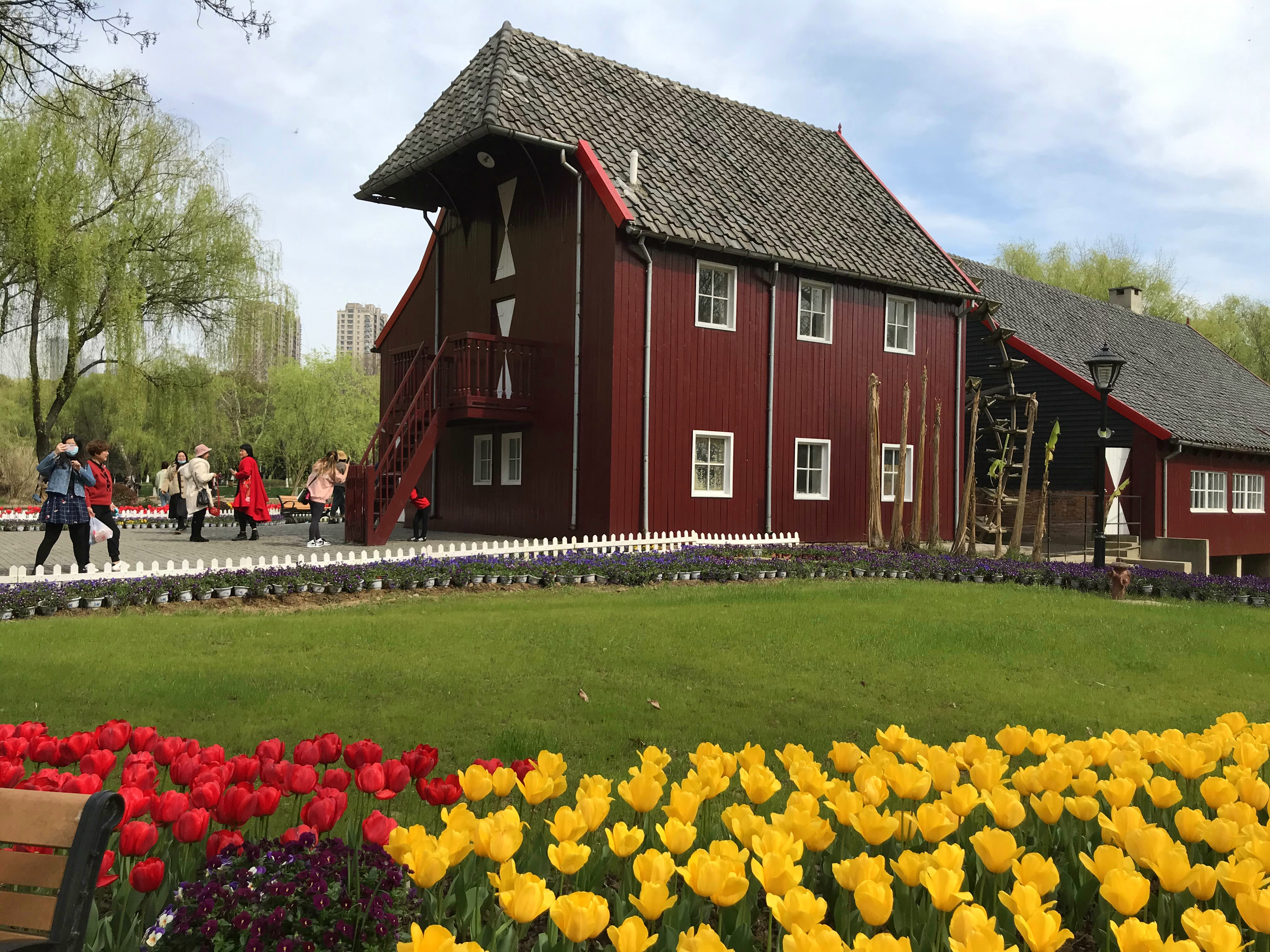 荷兰风情花园,南京绿博园的美丽