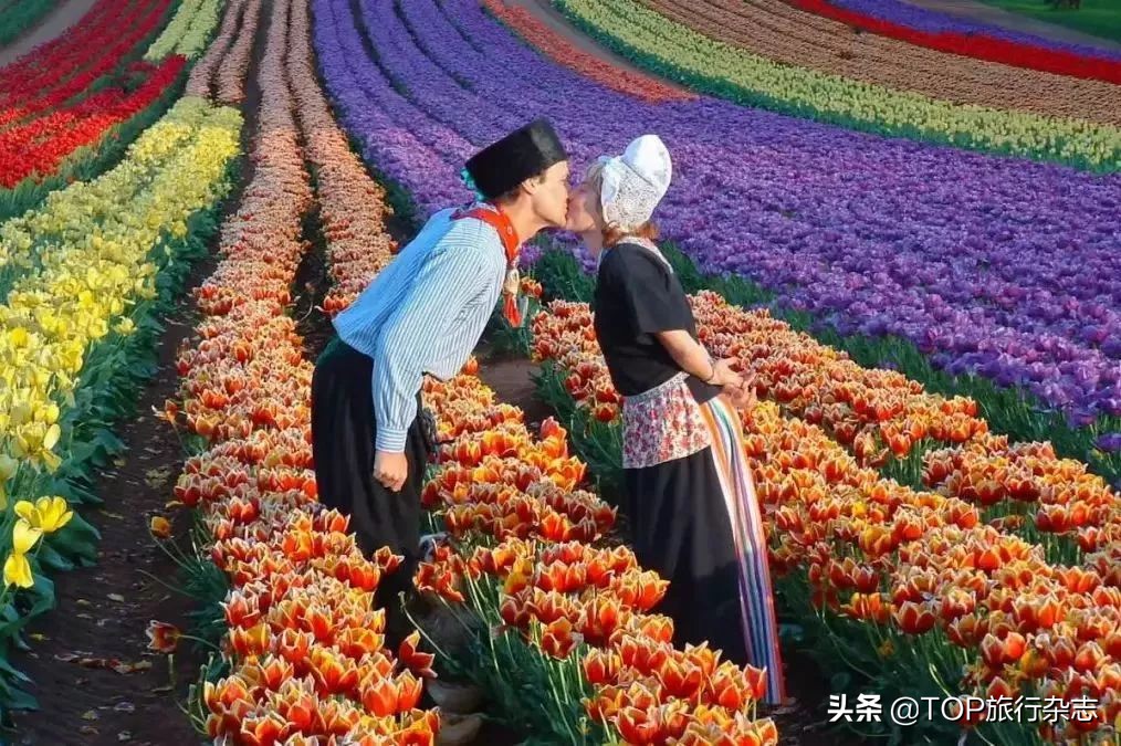 立夏去哪里旅游最好,立夏这个季节去哪里玩