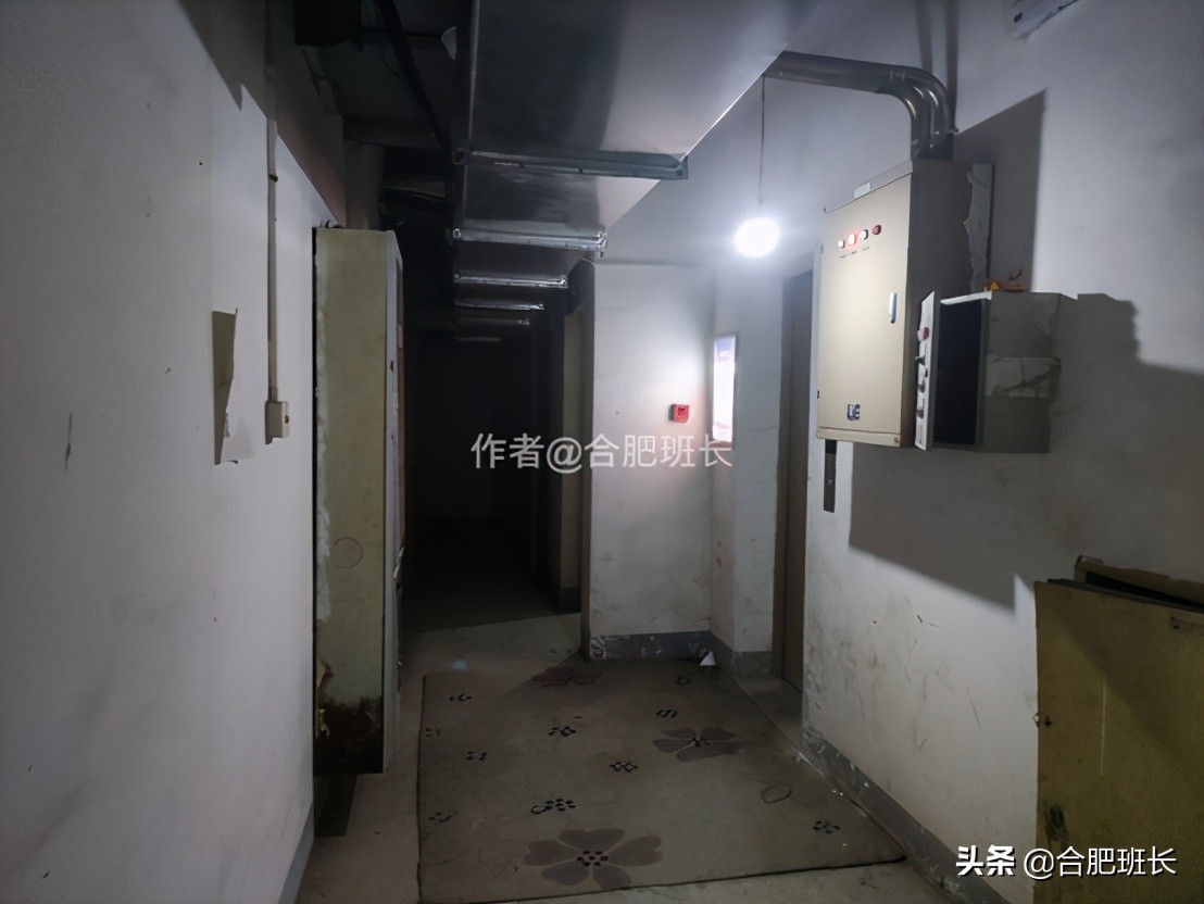 合肥水景房推荐,合肥绿地海顿公馆是住宅吗