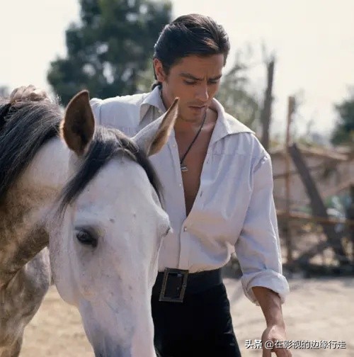 郁金香阿兰德龙,阿兰德龙全部电影黑郁金香