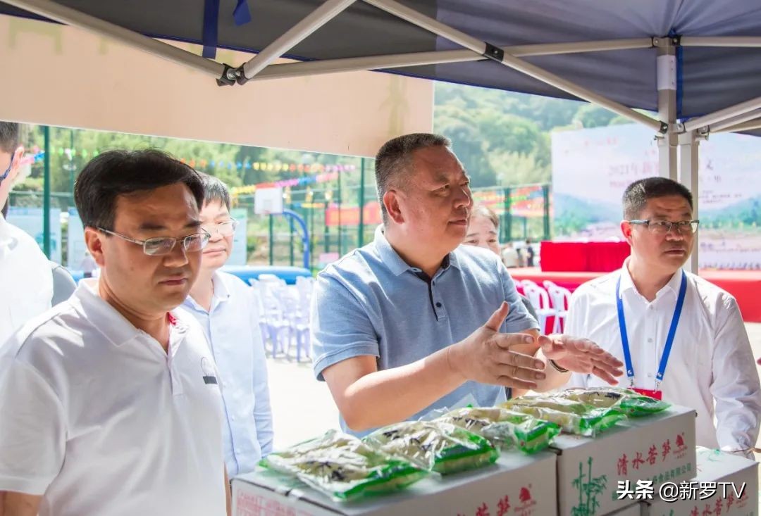山水田园生态旅游节,山水文化旅游节图片