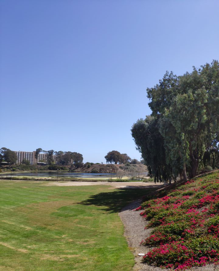 澳洲留学行李清单 (加拿大留学行李清单)