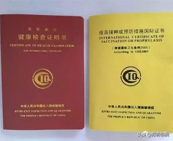 收藏系列：去非洲你应该知道的事，一文教你成为本地人