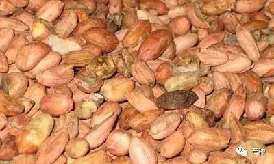 花生高产栽培技术视频,种花生到收花生的所有过程