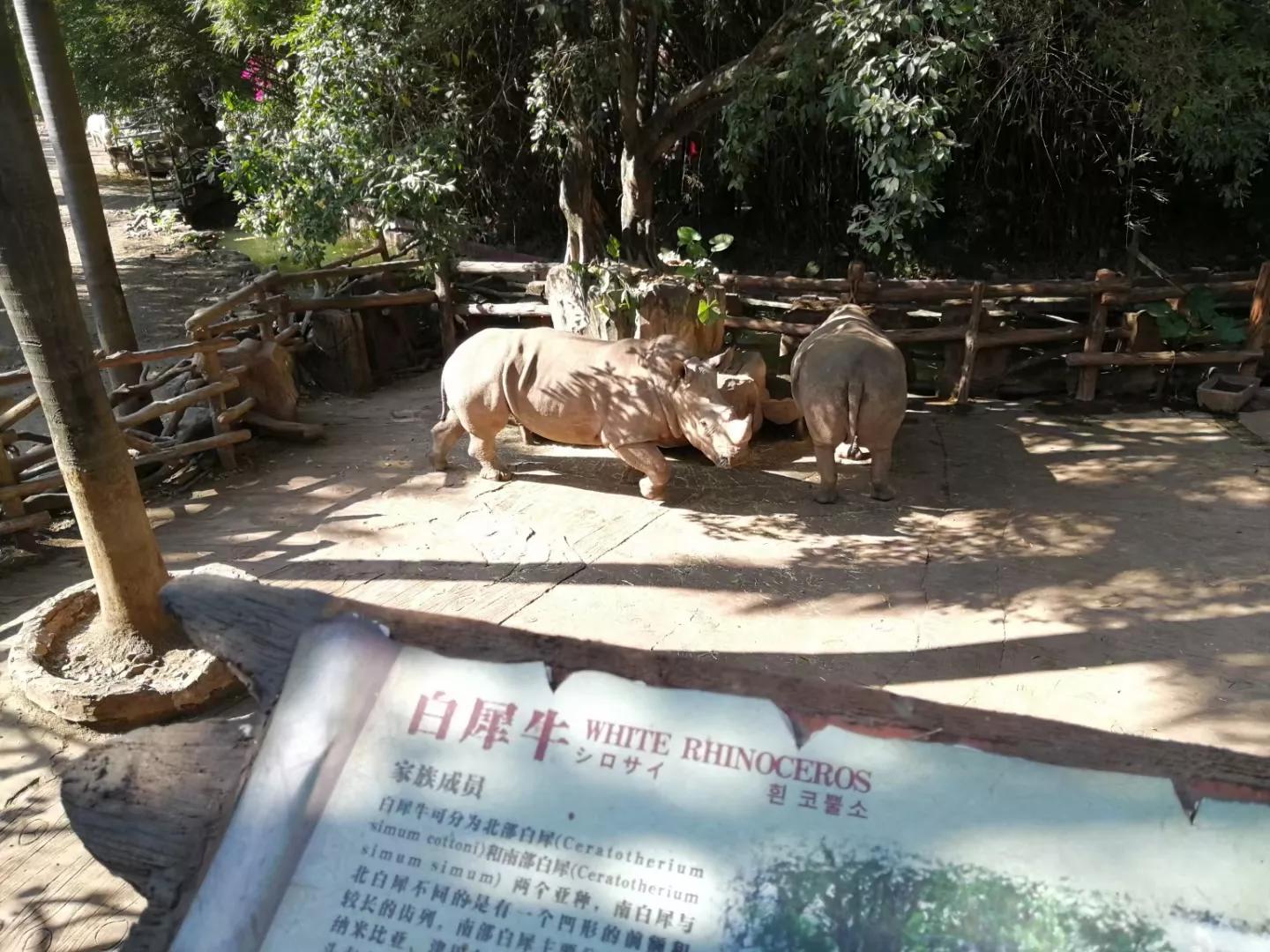 番禺地铁7号线旅游攻略,广州番禺七号线游玩攻略