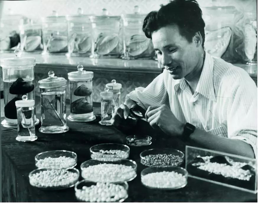 欧诗漫创始人沈志荣孙子,欧诗漫老板沈志荣是哪里人