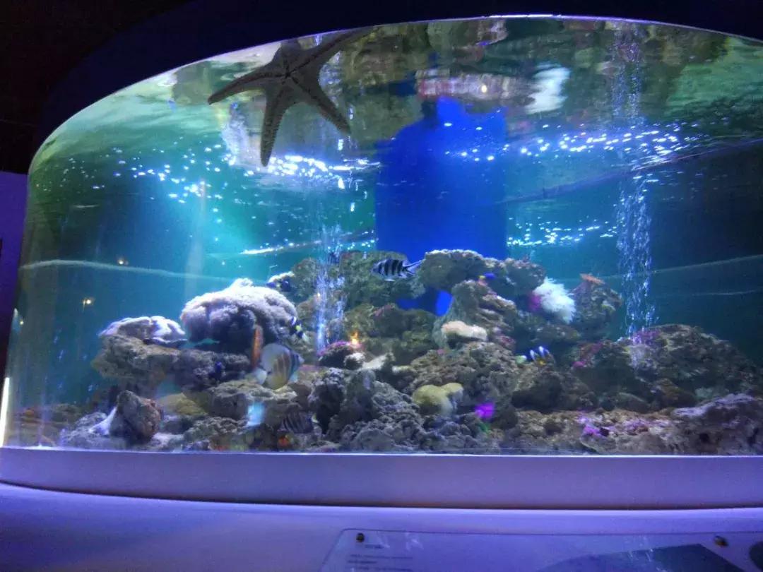 宁波震撼展览馆,宁波好逛的展览馆