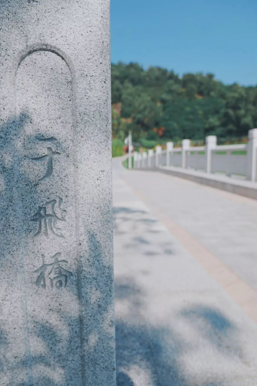 人少还免门票！深圳这片5000000㎡新公园美翻了，“神仙花谷”