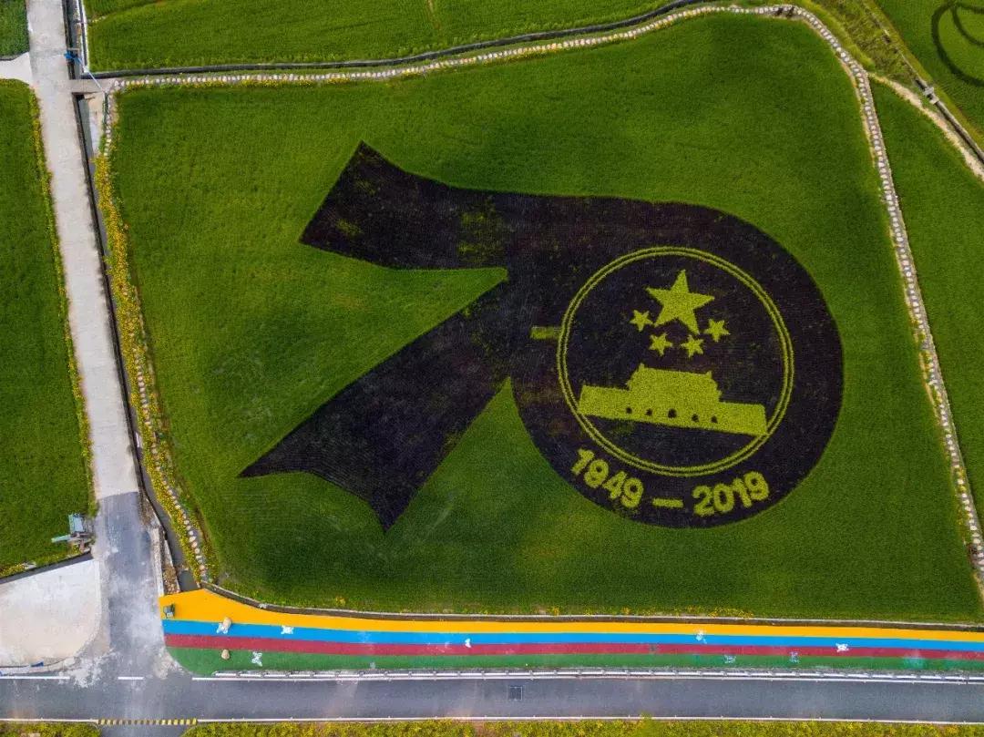 钱塘江画卷,钱塘江画作